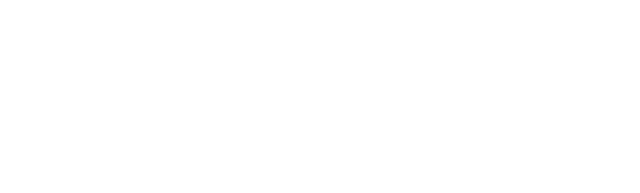 BitDelta